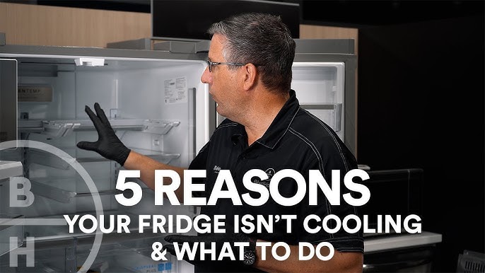 My fridge isn't cooling & what to do