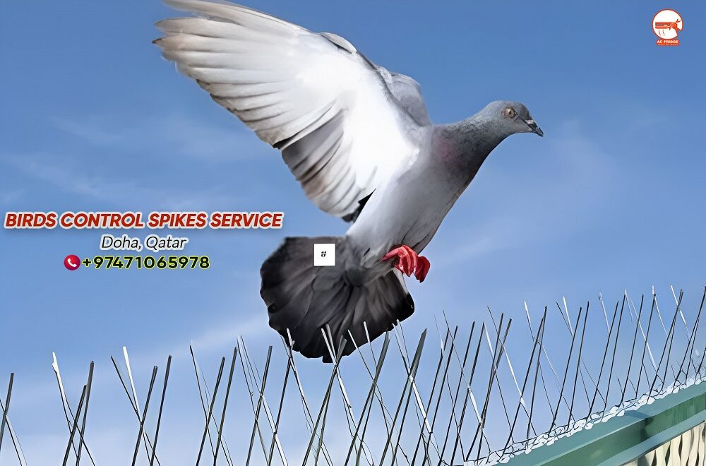Birds Control Spikes Service 1 bird spike
